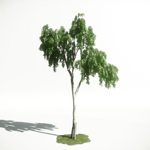 Tree 17 AM1 for CryEngine Archmodels
