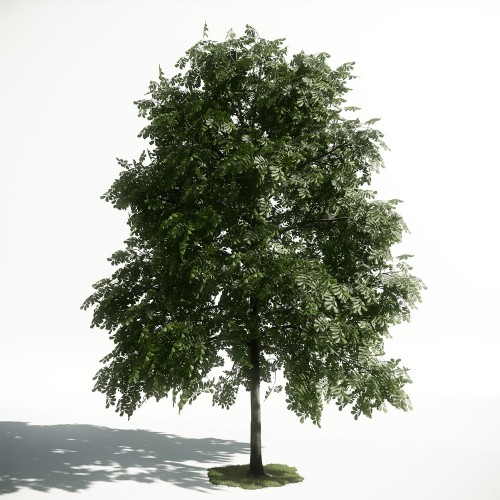 Tree 32 AM1 for CryEngine Archmodels