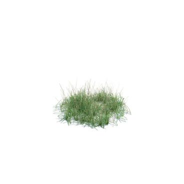  simple grass medium 134 AM124 Archmodels