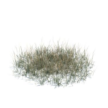 simple grass large 138 AM124 Archmodels