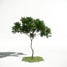 Tree 4 AM1 for CryEngine Archmodels