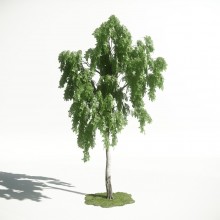 Tree 18 AM1 for CryEngine Archmodels