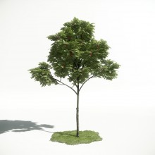 Tree 3 AM1 for CryEngine Archmodels