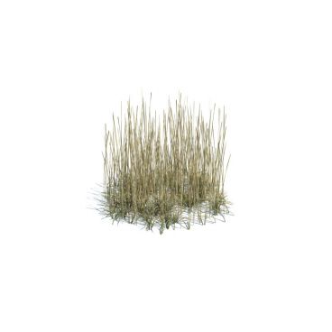 simple grass medium 140 AM124 Archmodels