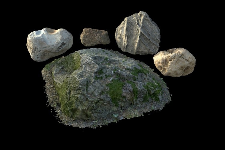 52 forest element