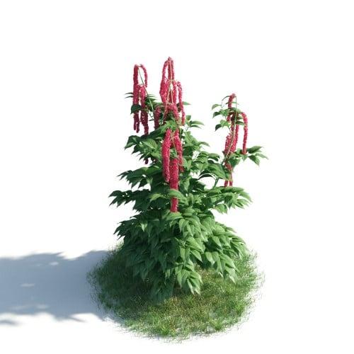 plant 43 AM183 Archmodels