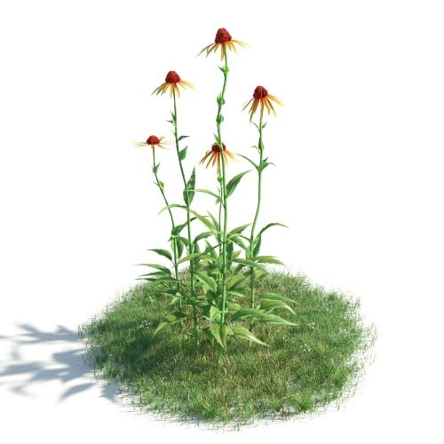 plant 32 AM183 Archmodels