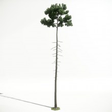 Tree 34 AM1 for CryEngine Archmodels
