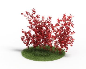 Plant 41 AM4 for Cinema4D Archmodels