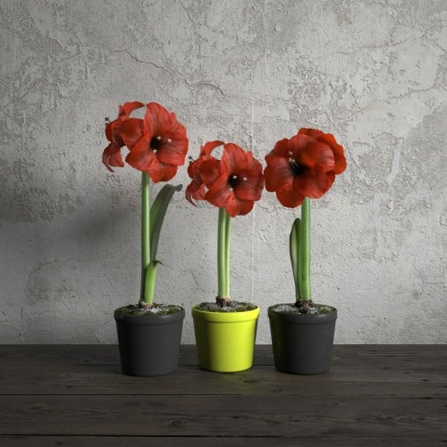 plant 7 AM173 Archmodels