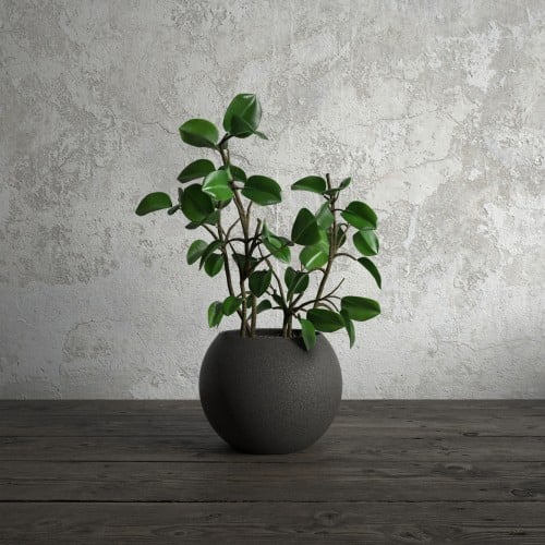 plant 56 AM173 Archmodels