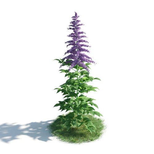 plant 8 AM183 Archmodels