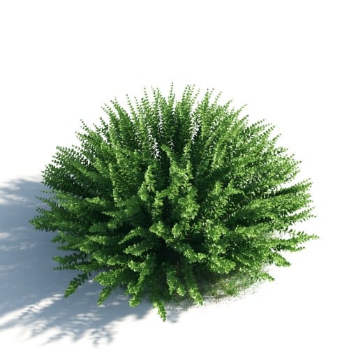 plant 45 AM183 Archmodels