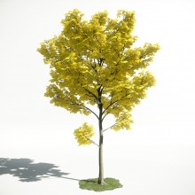 Tree 30 AM1 for CryEngine Archmodels