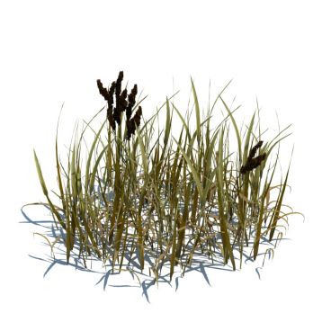 simple grass 69 AM124 Archmodels