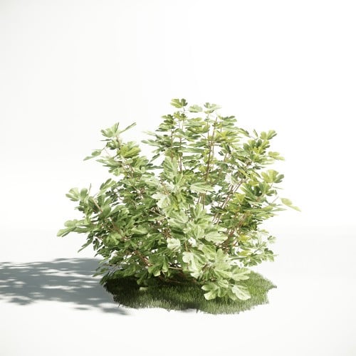 Plant 56 AM1 for CryEngine Archmodels
