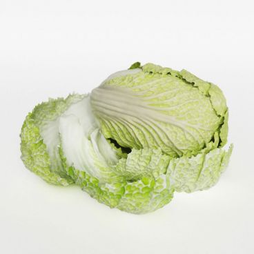 cabbage 31 AM130 Archmodels