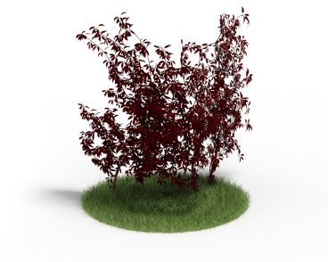 Plant 42 AM4 for Cinema4D Archmodels