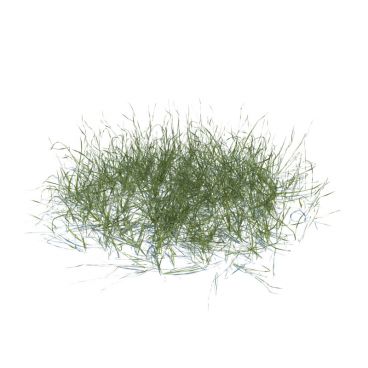 simple grass 126 AM124 Archmodels
