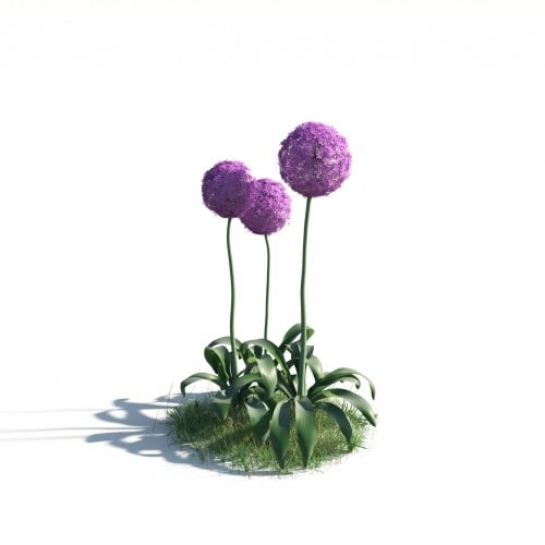 plant 3 AM183 Archmodels