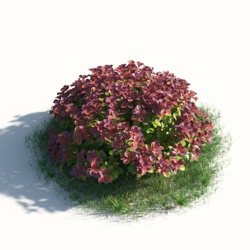 plant 49 AM183 Archmodels