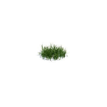 simple grass small 106 AM124 Archmodels