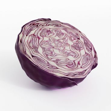 cabbage 20 AM130 Archmodels