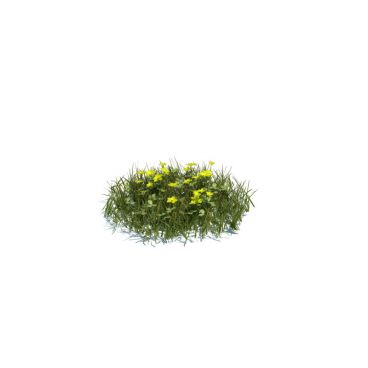 simple grass medium 119 AM124 Archmodels