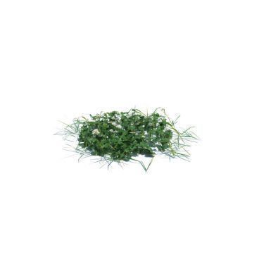 simple grass medium 2 AM126 Archmodels
