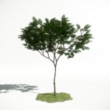 Tree 5 AM1 for CryEngine Archmodels