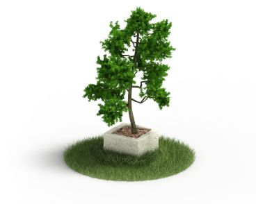 Plant 45 AM4 for Cinema4D Archmodels
