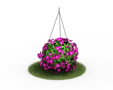 Plant 53 AM4 for Cinema4D Archmodels