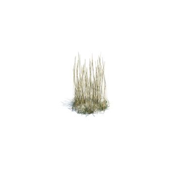  simple grass small 139 AM124 Archmodels