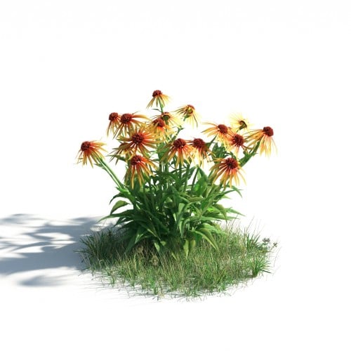 plant 34 AM183 Archmodels