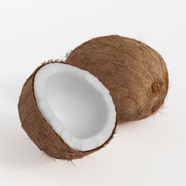 coconuts 11 AM130 Archmodels