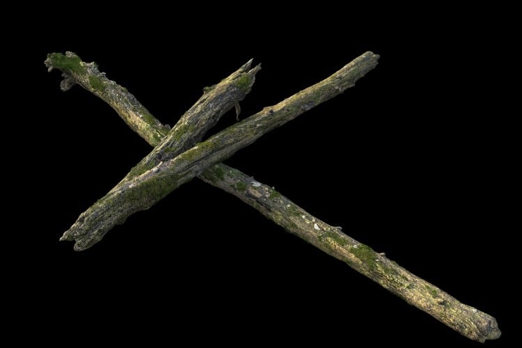 3 forest element