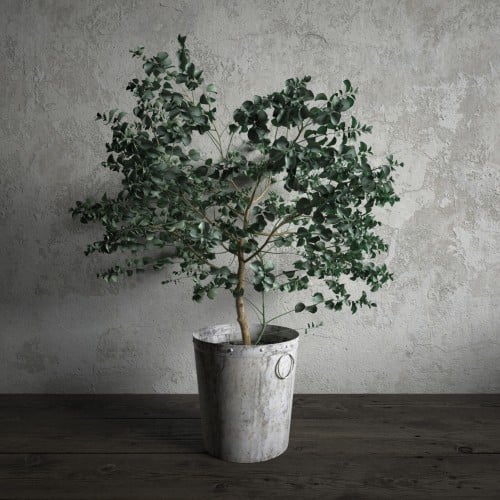 plant 28 AM173 Archmodels