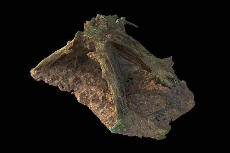 29 forest element