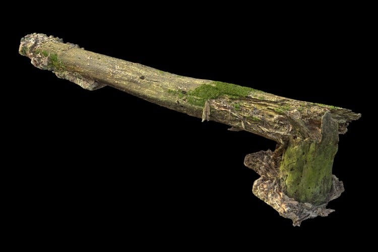 30 forest element