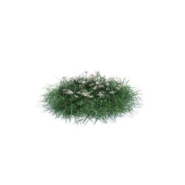 simple grass medium 5 AM126 Archmodels