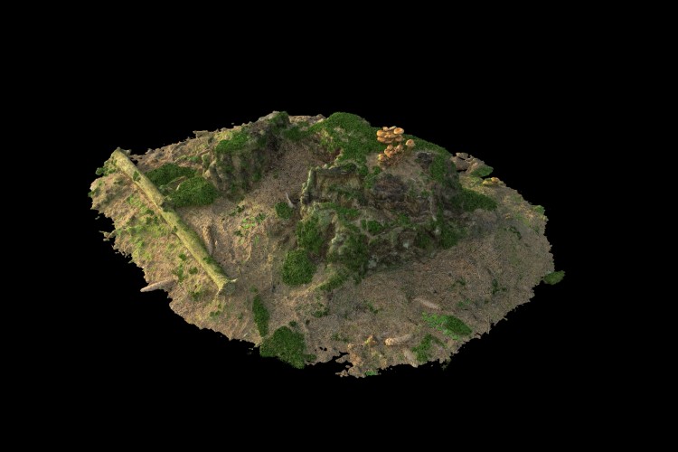 27 forest element 