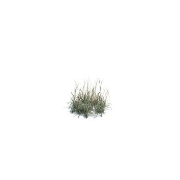  simple grass small 136 AM124 Archmodels