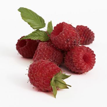 raspberries 23 AM130 Archmodels