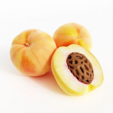 peach 4 AM130 Archmodels