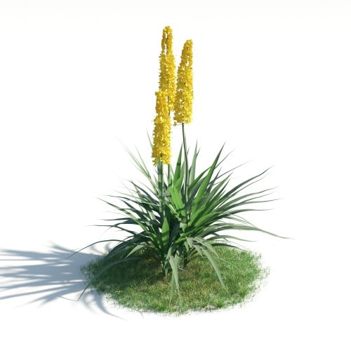 plant 15 AM183 Archmodels