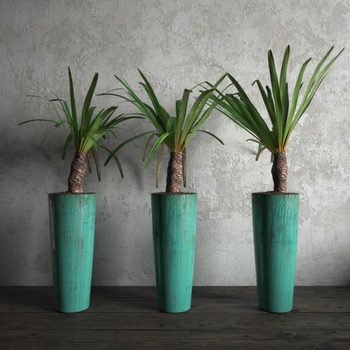 plant 26 AM173 Archmodels