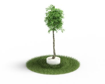 Plant 49 AM4 for Cinema4D Archmodels