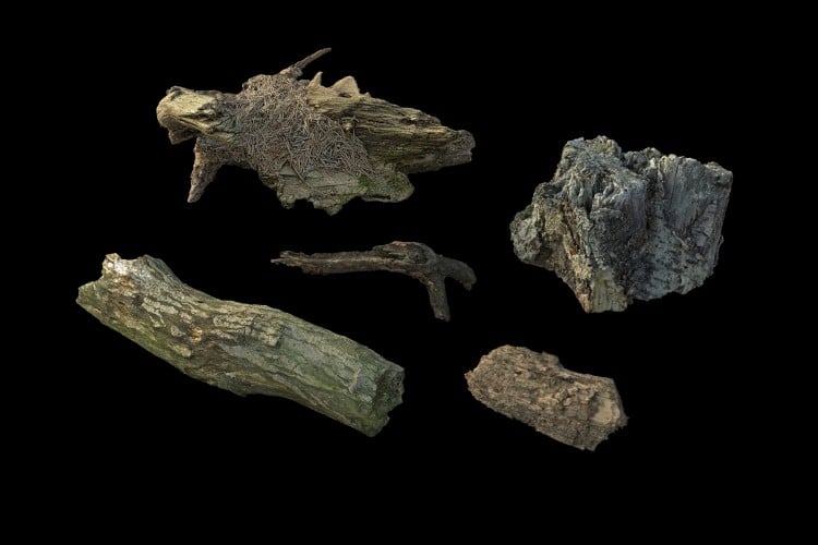 41 forest element