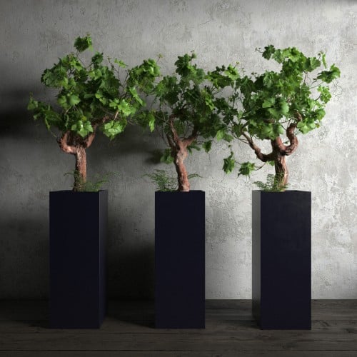 plant 35 AM173 Archmodels