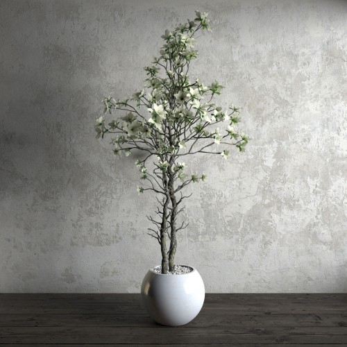 plant 21 AM173 Archmodels